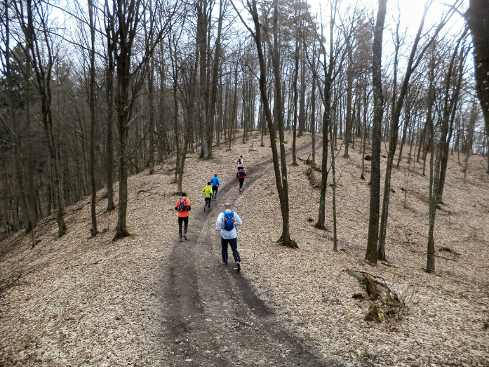 Puszcza Knyszyńska