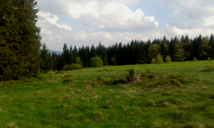 Tymbarskie Pagórki