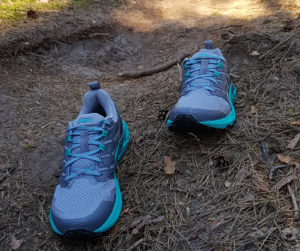 testy Asics Trabuco Terra