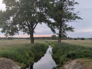 Ultra-Puszcza-Pyzdrska