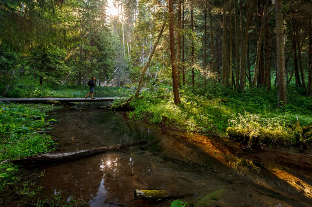 Gauja Trail by UTMB _ Łotwa