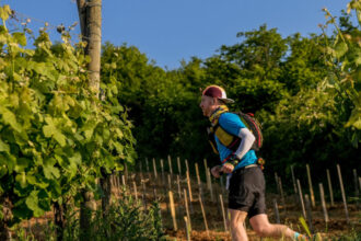 Pobiegnij w Alzacji! Trail Alsce Grand Est by UTMB 2026 [Francja]