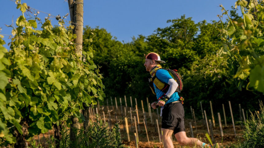 Pobiegnij w Alzacji! Trail Alsce Grand Est by UTMB 2026 [Francja]