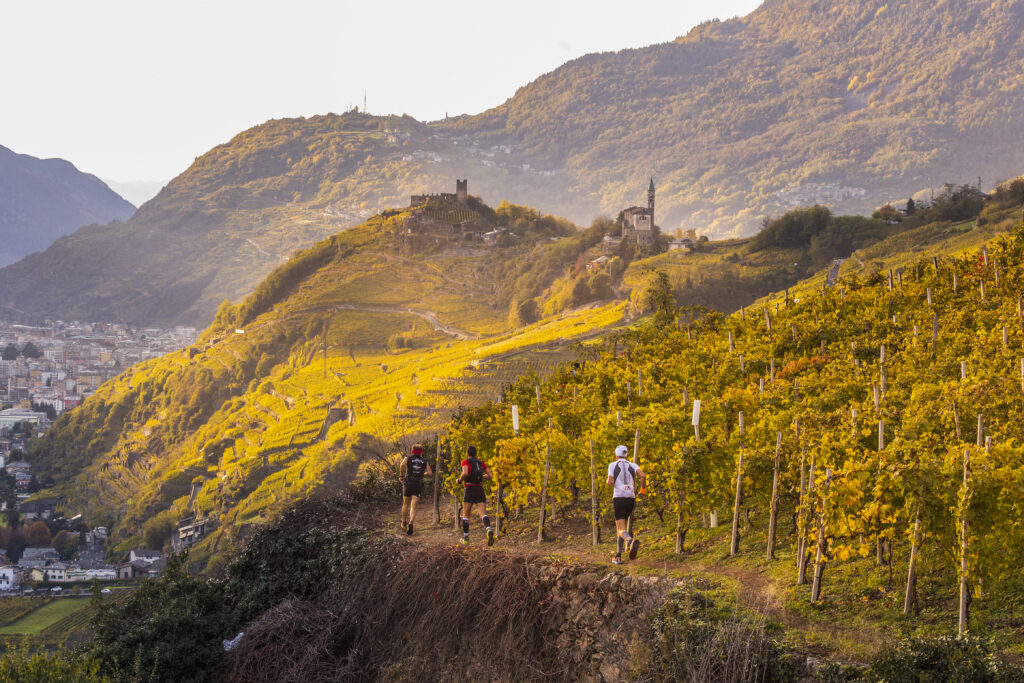 Na trasie biegu Valtellina Wine Trail _ fot. materiały organizatora
