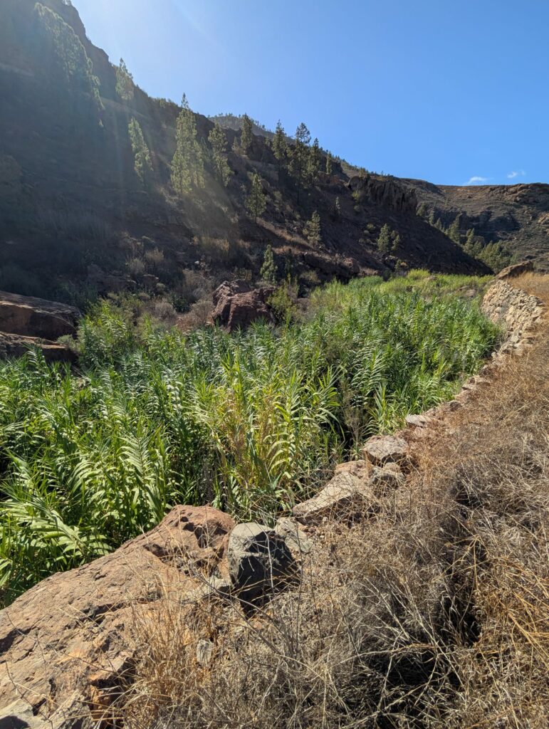 Na trasie The Challenge Gran Canaria _ fot. Michał Drozd